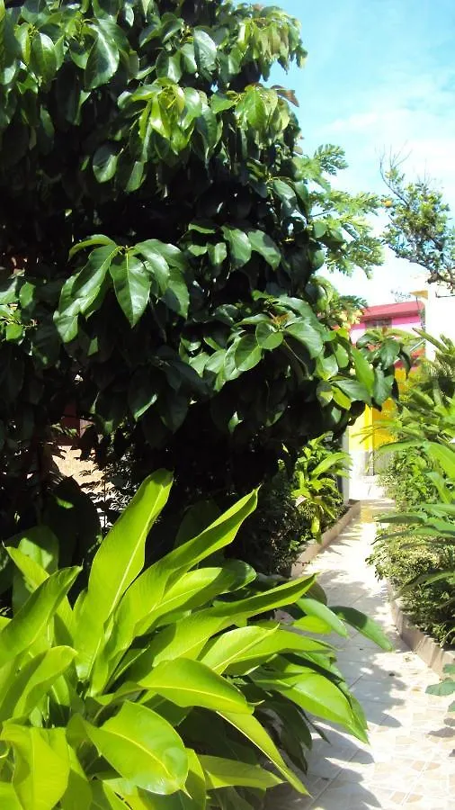Appartement De Charme A Port Louis 35 M² Jardin Prive Port-Louis