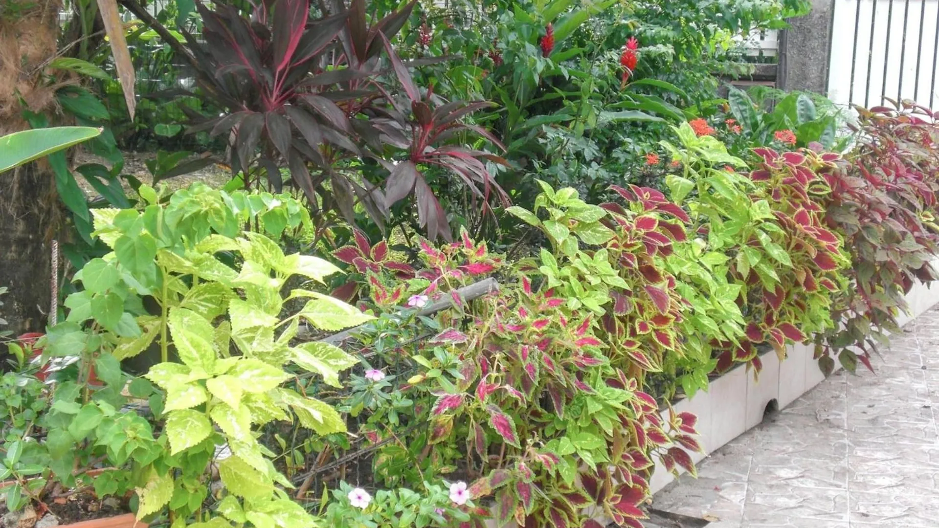 Appartement De Charme A Port Louis 35 M² Jardin Prive Port-Louis